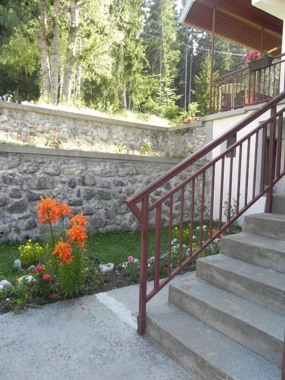 Appartement Vukovic